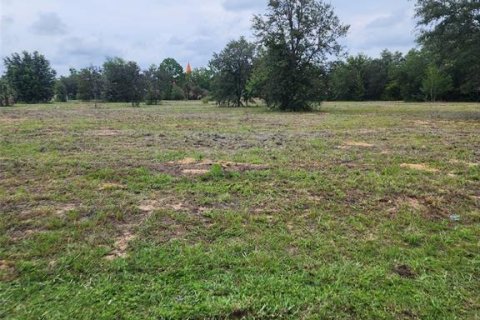 Land in Inverness, Florida № 1893827 - photo 1