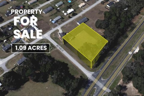 Land in Summerfield, Florida № 1783153 - photo 1