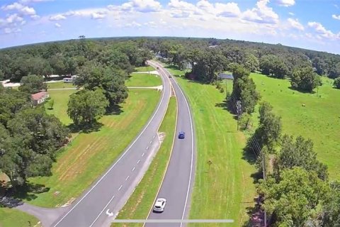 Land in Summerfield, Florida № 1783153 - photo 6