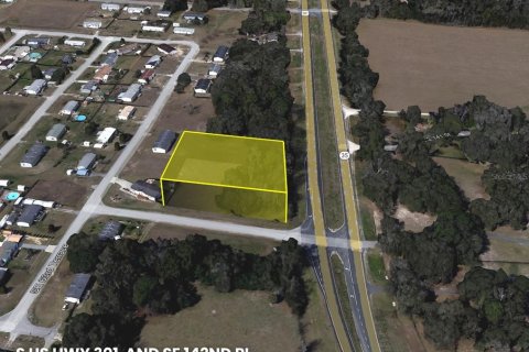 Land in Summerfield, Florida № 1783153 - photo 11