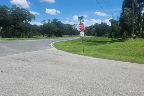 Land in Summerfield, Florida № 1783153 - photo 20