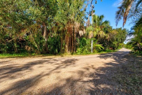 Land in Nokomis, Florida № 1538788 - photo 4
