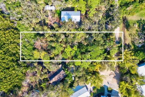 Land in Nokomis, Florida № 1538788 - photo 3