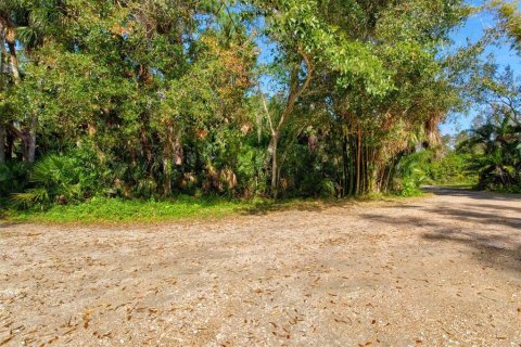 Land in Nokomis, Florida № 1538788 - photo 5