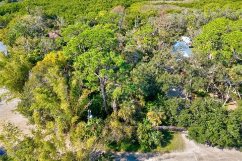 Land in Nokomis, Florida № 1538788 - photo 6