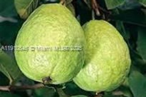 Commercial property in Homestead, Florida № 2013162 - photo 3