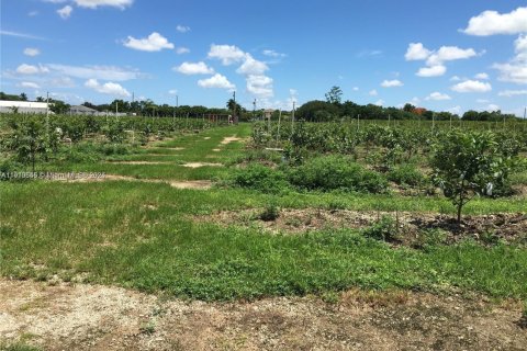 Commercial property in Homestead, Florida № 2013162 - photo 10