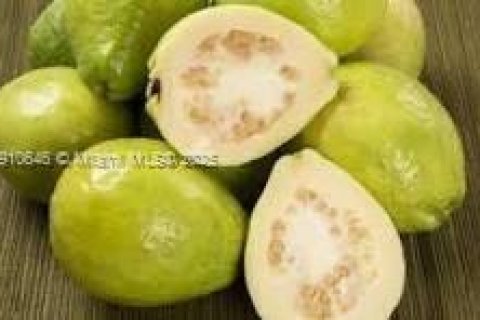 Commercial property in Homestead, Florida № 2013162 - photo 6