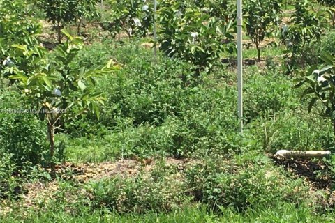 Commercial property in Homestead, Florida № 2013162 - photo 11