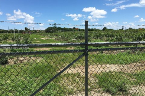 Commercial property in Homestead, Florida № 2013162 - photo 7