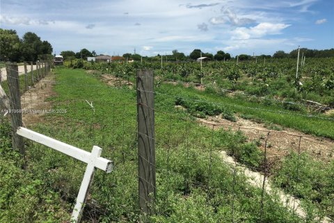 Commercial property in Homestead, Florida № 2013162 - photo 9