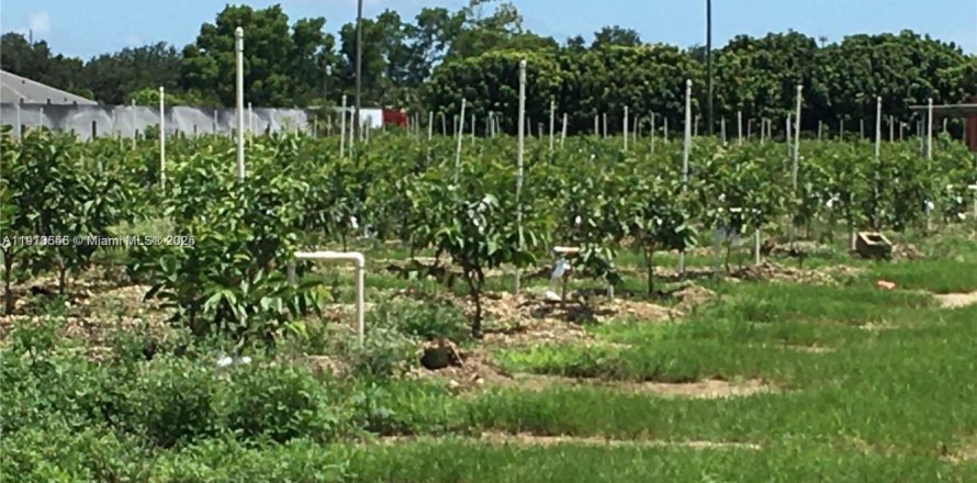 Commercial property in Homestead, Florida № 2013162