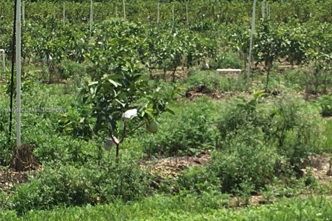 Commercial property in Homestead, Florida № 2013162 - photo 2