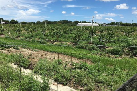 Commercial property in Homestead, Florida № 2013162 - photo 8