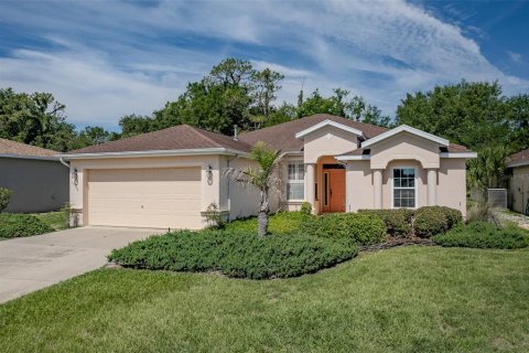 House in Ocala, Florida 2 bedrooms, 163.42 sq.m. № 2209819