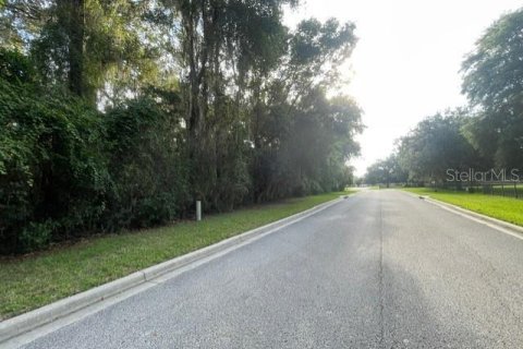 Terrain à vendre à Ocala, Floride № 1913974 - photo 8