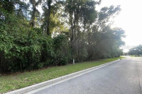 Terrain à vendre à Ocala, Floride № 1913974 - photo 7