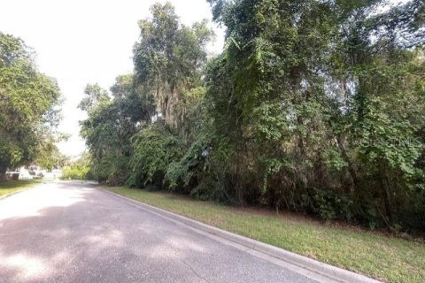 Terrain à vendre à Ocala, Floride № 1913974 - photo 5