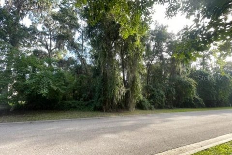 Terrain à vendre à Ocala, Floride № 1913974 - photo 4