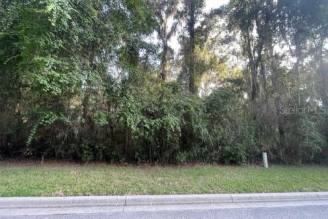 Terrain à vendre à Ocala, Floride № 1913974 - photo 6