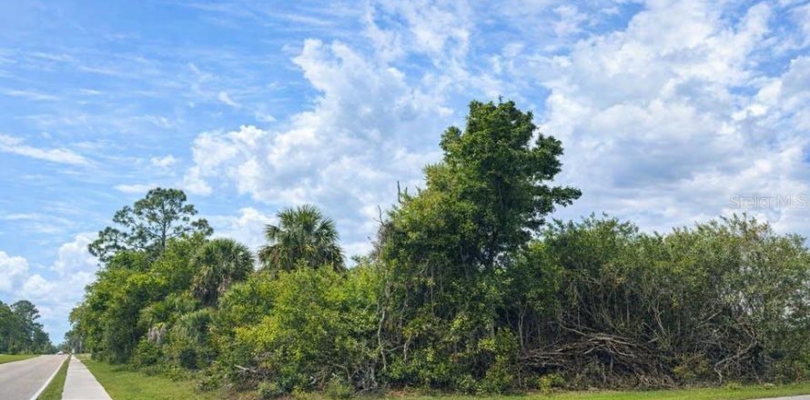 Land in Englewood, Florida № 2166443