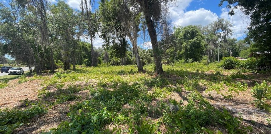 Land in Umatilla, Florida № 2213612