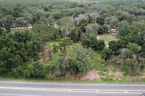 Land in Umatilla, Florida № 2213612 - photo 7