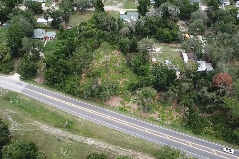 Land in Umatilla, Florida № 2213612 - photo 6