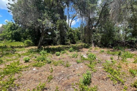 Land in Umatilla, Florida № 2213612 - photo 4