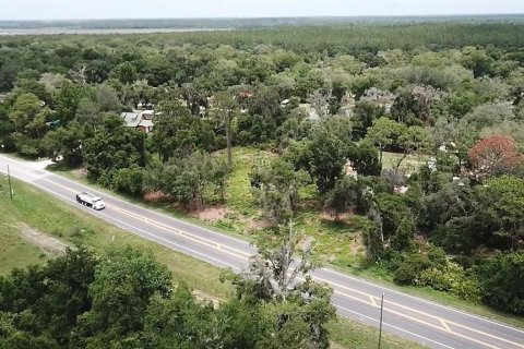 Land in Umatilla, Florida № 2213612 - photo 5