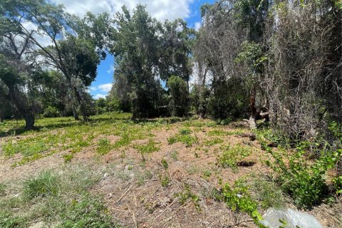 Land in Umatilla, Florida № 2213612 - photo 2
