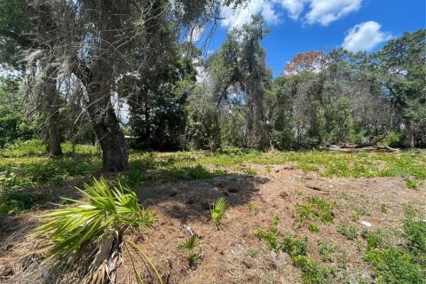 Land in Umatilla, Florida № 2213612 - photo 3