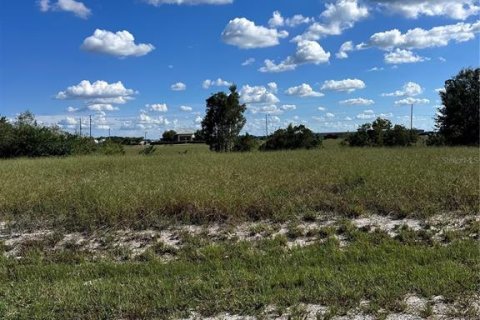 Land in Avon Park, Florida № 2166440