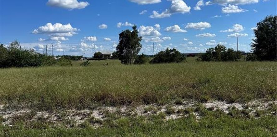 Land in Avon Park, Florida № 2166440