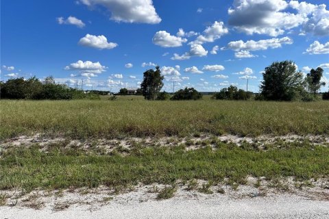 Land in Avon Park, Florida № 2166440 - photo 2
