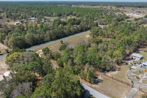 Terreno en venta en Homosassa, Florida № 1336457 - foto 6