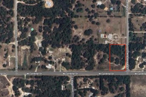 Terreno en venta en Homosassa, Florida № 1336457 - foto 9