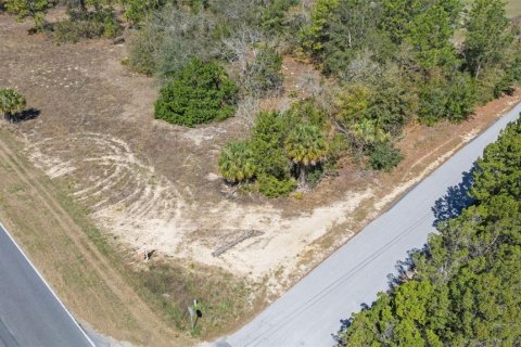 Terreno en venta en Homosassa, Florida № 1336457 - foto 4