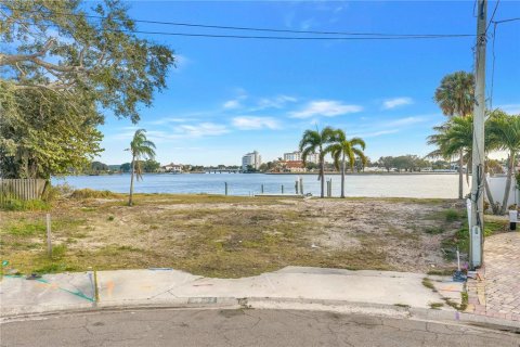 Land in Saint Petersburg, Florida № 2384010 - photo 4
