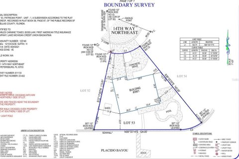 Land in Saint Petersburg, Florida № 2384010 - photo 10