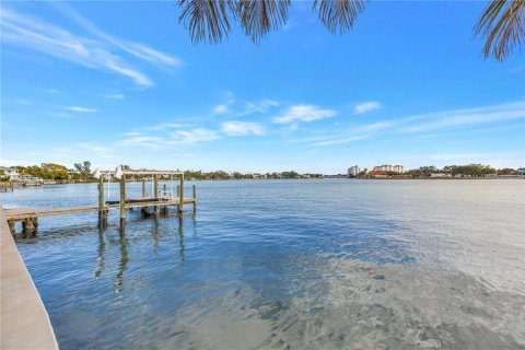 Land in Saint Petersburg, Florida № 2384010 - photo 3