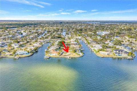 Land in Saint Petersburg, Florida № 2384010 - photo 6