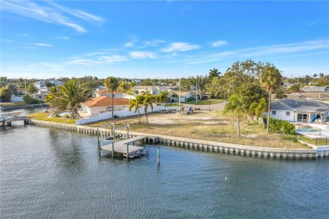 Land in Saint Petersburg, Florida № 2384010 - photo 7