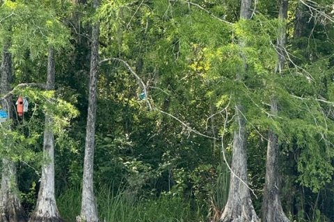 Terreno en venta en Leesburg, Florida № 1806696 - foto 18
