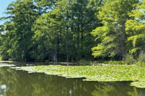 Terreno en venta en Leesburg, Florida № 1806696 - foto 10