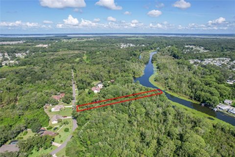 Terreno en venta en Leesburg, Florida № 1806696 - foto 6