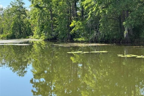 Terreno en venta en Leesburg, Florida № 1806696 - foto 14