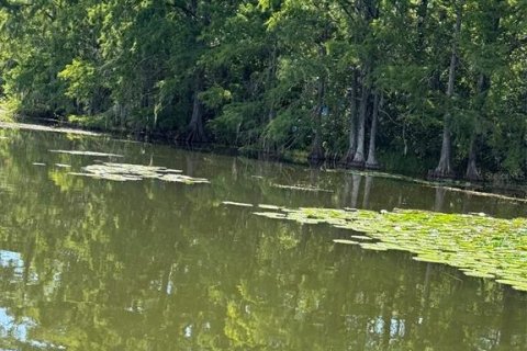 Terreno en venta en Leesburg, Florida № 1806696 - foto 12
