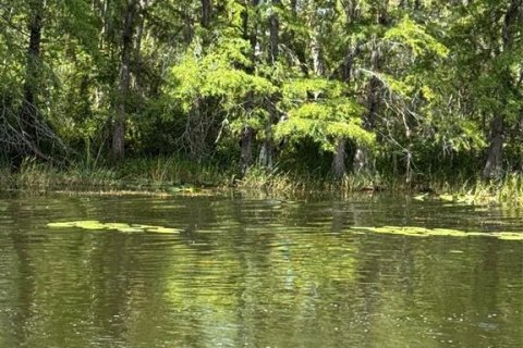 Terreno en venta en Leesburg, Florida № 1806696 - foto 15