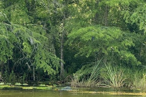 Terreno en venta en Leesburg, Florida № 1806696 - foto 19